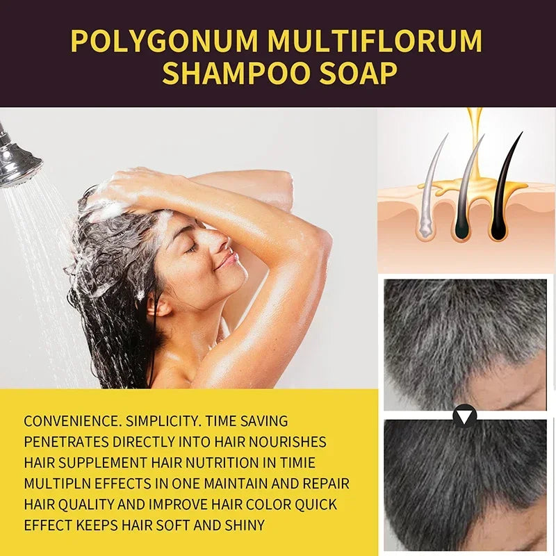 Hair Shampoo Herbal ingredients Permanent Dark Brown Black Shampoo for Women