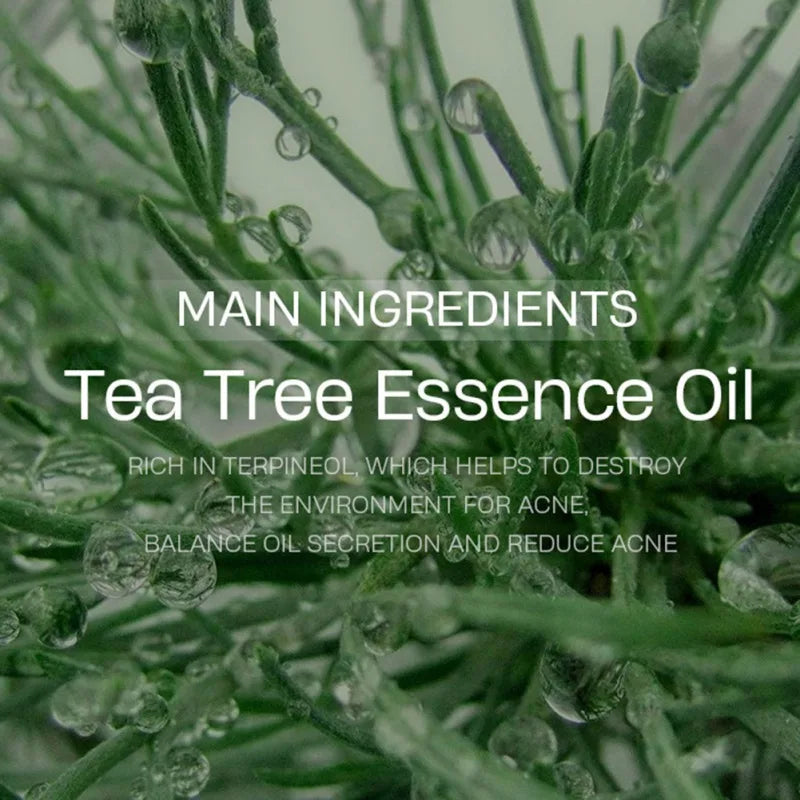 Pores Tightening Tea Tree  Oil for Acne Scars Gentle Foam  Facial Cleanser